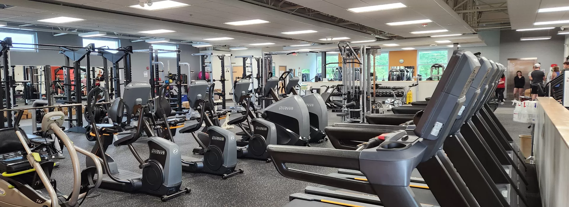 Wellness 1