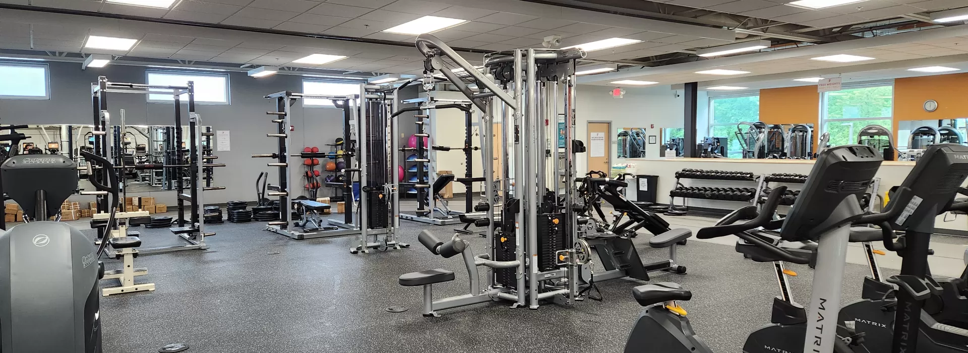 Wellness 3