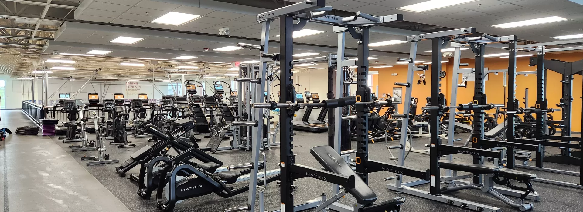 Wellness 4