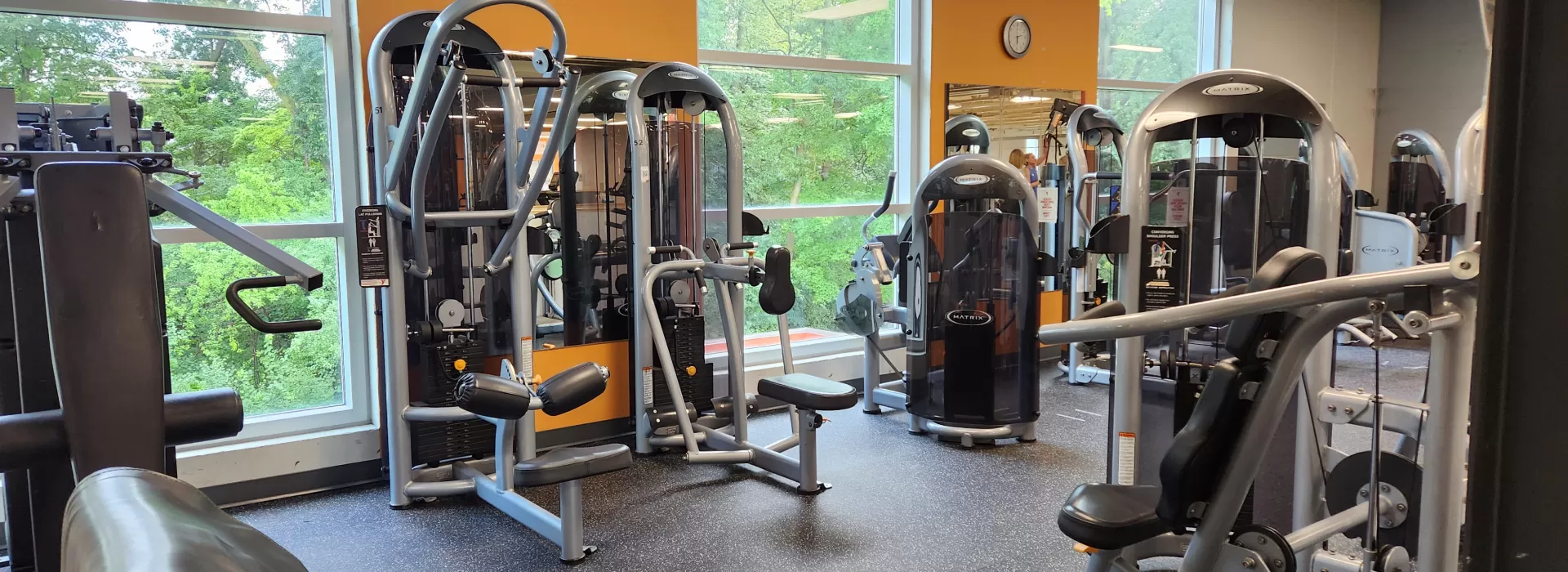 Wellness 5