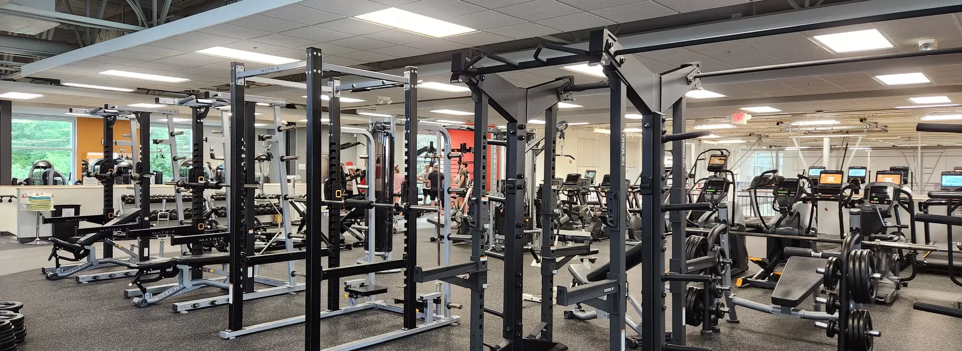 Wellness 6