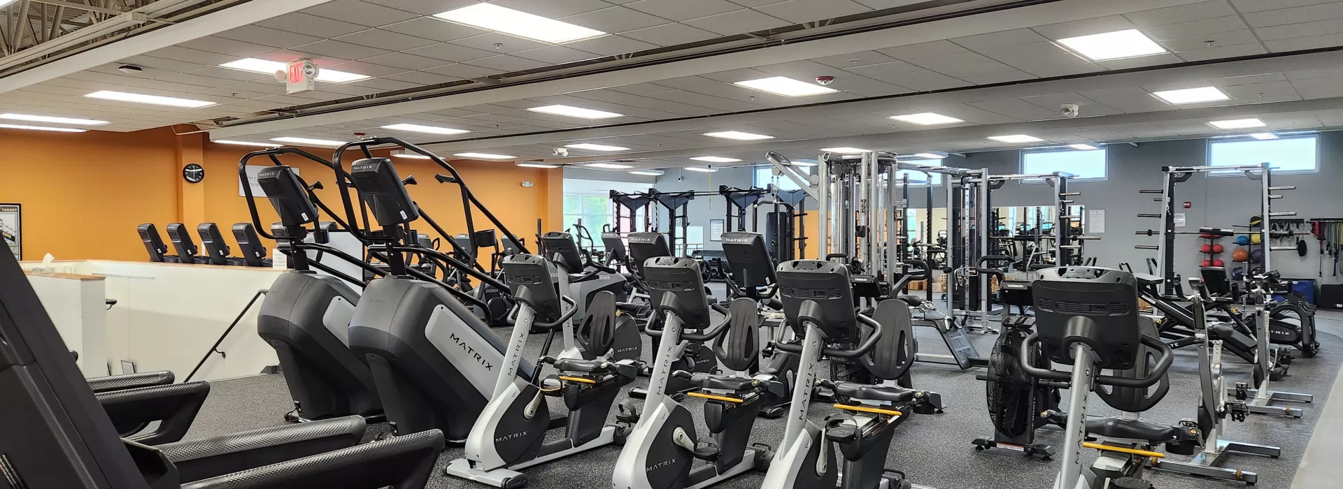 Wellness 7